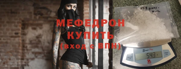 индика Козельск