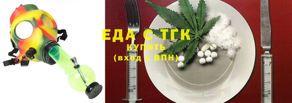индика Козельск