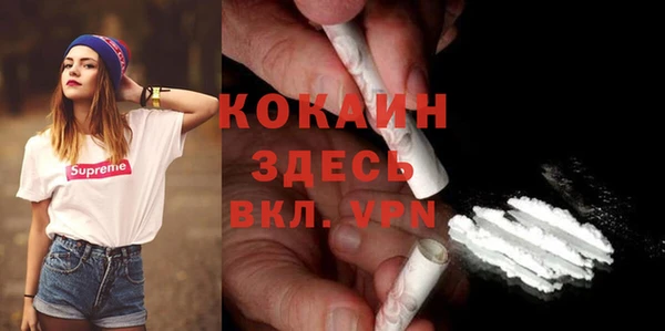 твердый Володарск