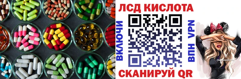 как найти закладки  Волхов  LSD-25 экстази ecstasy 